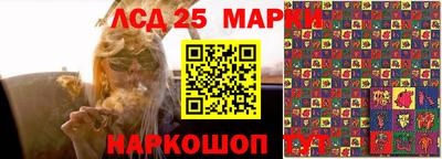 прущие крисы Гусев
