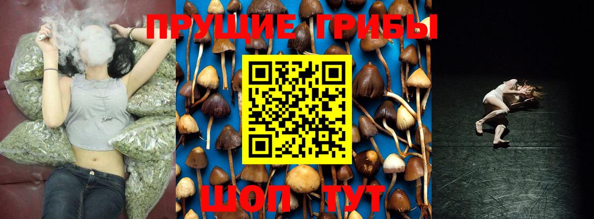 хочу   Псилоцибиновые грибы Magic Shrooms  Мытищи  Вход с VPN  Псилоцибиновые грибы Cubensis 