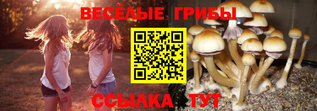 Галлюциногенные грибы MAGIC MUSHROOMS Мытищи